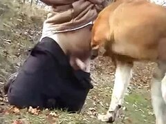 Zoo Porn Clips and Animal Sex