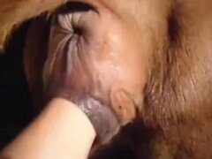 Zoo Sex Name