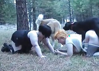 Couple of fat babes flock to animal cocks in 1080p