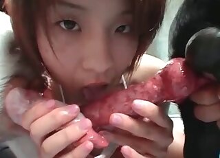 Horned-up Doberman fucking with an Asian gal