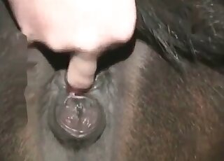 Sexiest creatures in a hardcore zoophile video