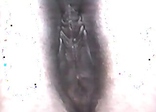 Close-up porno movie with a well-endowed beast