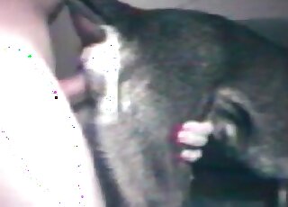 Man pushes his stiffie up this tight opening