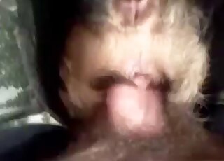 Tight beast opening gets stretched out big time