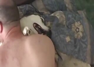 Sideways position with a good-looking animal - قناة سكس حيوانات مع يابانيات-> 