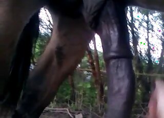 Gorgeous animal dick featured outdoors here