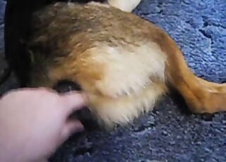 Toy fuck movie featuring a dude and a beast