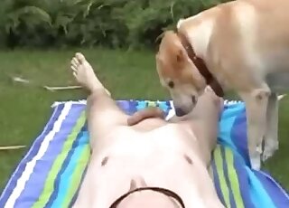 Charming canine licks my twitching cock on cam