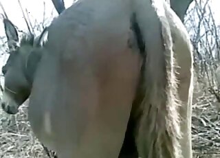 Screwing a tight creature's ass doggy style