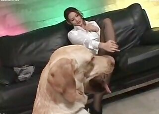 Asian chick in perfect bestiality XXX