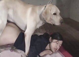 Extreme Japanese Bestiality Porn Videos / Most popular Page 1