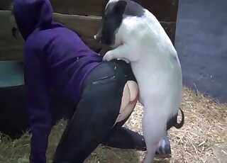 Tight wet cunt nicely penetrated in the doggy style pose