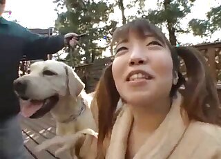 Pigtailed babe is getting pleasure from nasty sex