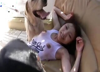 Hot babe likes hardcore bestiality XXX sex so much