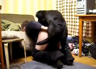 Skinny dog fucks a full-bodied zoophile guy