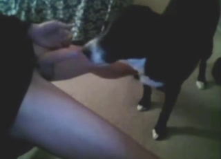 His thicc cock keeps this slutty dog so happy