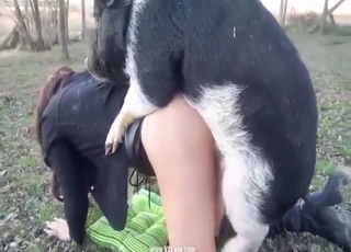Zoo XXX with a pig fucking her sexy fuckhole