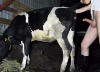 Wild cow fuck with a guy who needs it slutty