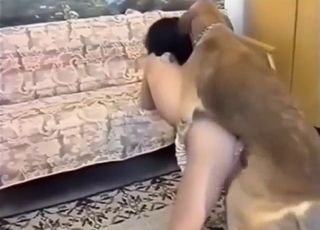 Teenager hoe takes her dog fucking to the limit