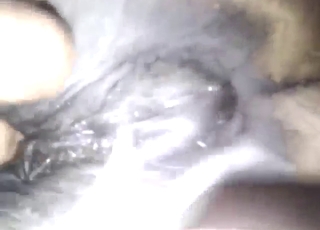 Sexy close-ups with a mare getting fingered