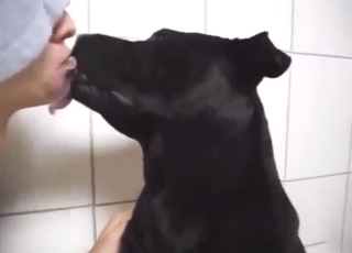 Relaxed guy enjoying a blowjob from a dog