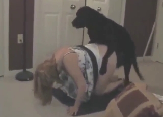 Black dog working inside a submissive housewife