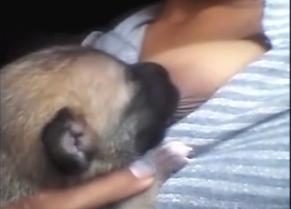 Breastfeed porn with a sexy dog getting right off
