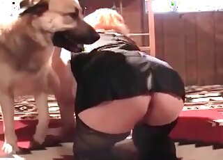 Dog gets to fuck its horny owner
