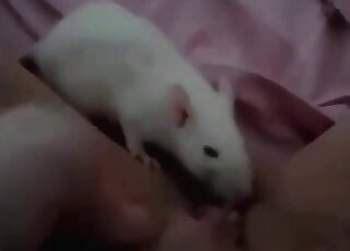 Small white doggy in filthy bestiality