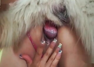 Sweet pooch and a hot girl are doing nasty things