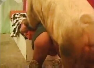 Pig and a horny farmer are enjoying bestiality doggy style