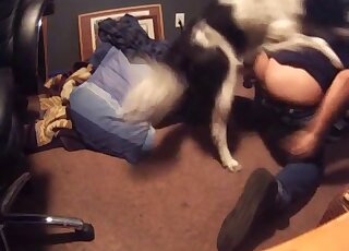 Hairy hound is trying to fuck another tight cunt