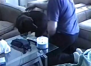 Chubby male zoophile screwed his lovely animal on cam