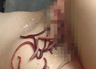Filthy exotic insect bestiality porn from Japan