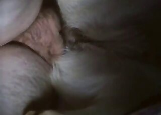 Sensual close-up zoophilic sex with a gorgeous beast - 日本のアニマルポータルサイト 