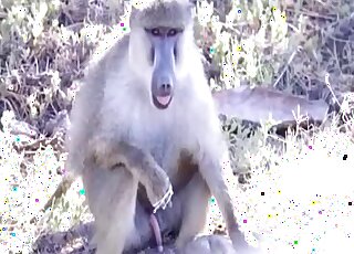 Sensual animal fucked her round bottom from behind