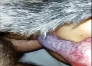 Lusty brunette is having fun with a new doggy