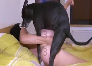 Attractive pup zoo copulate with an irresistible peach