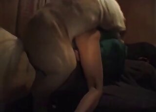 The ass's a nice gift for a trained beast