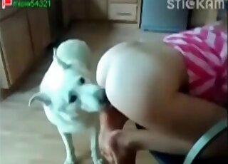 Perky ass hottie gets her asshole sniffed