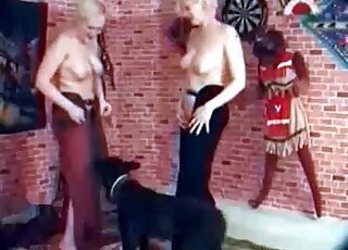 Blondies with huge tits screwed by Labrador